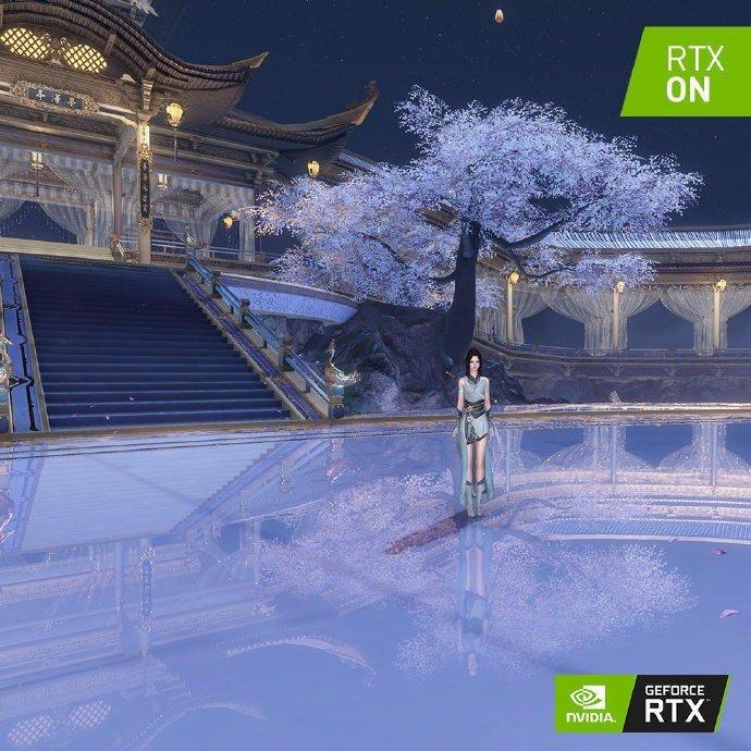 疯狂的小猫