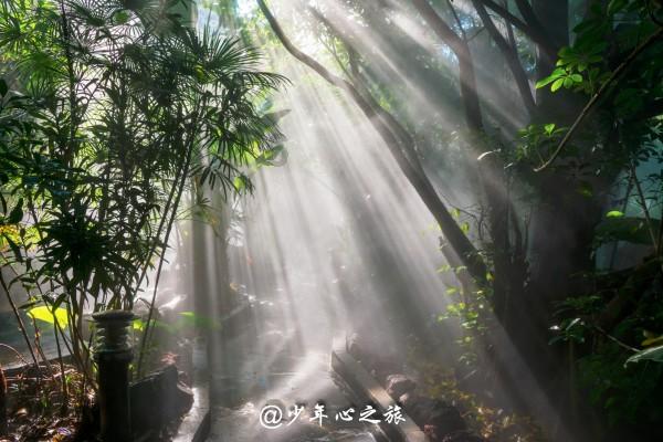 济南战役,华野预计牺牲1万人,实际不到3千,伤员却超预期