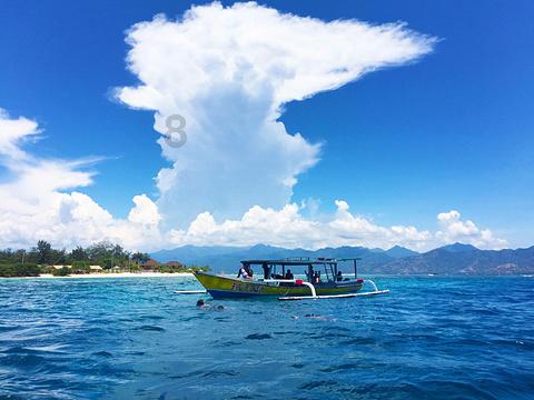去陇之南邂逅浪漫冬景